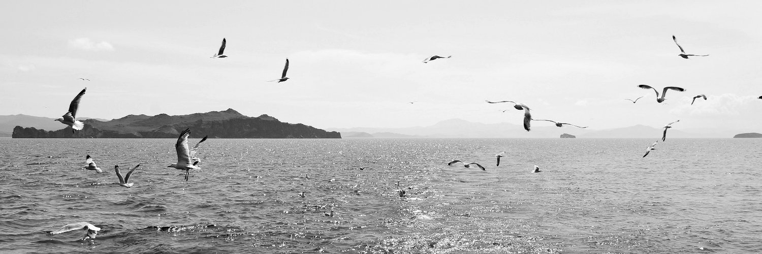 PoeticallyNelly's profile banner image