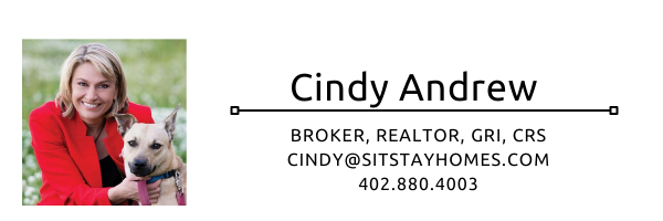 SitStayHomes's profile banner image