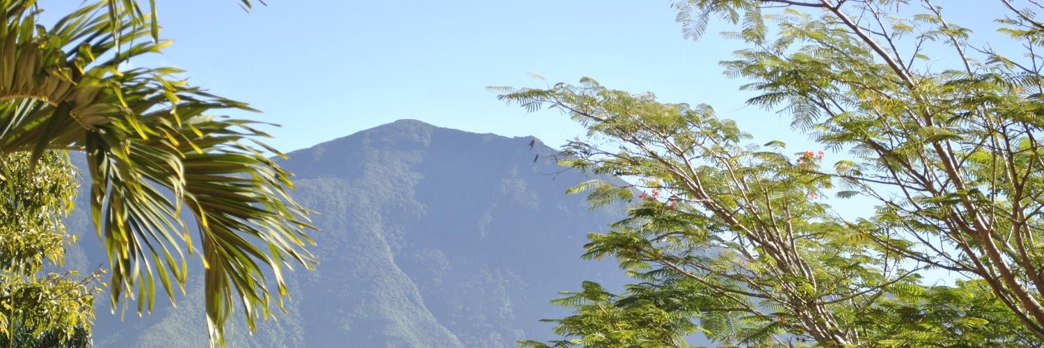 CorinaBM's profile banner image