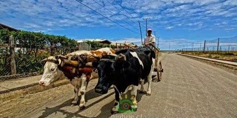 rodrigoruizd69's profile banner image