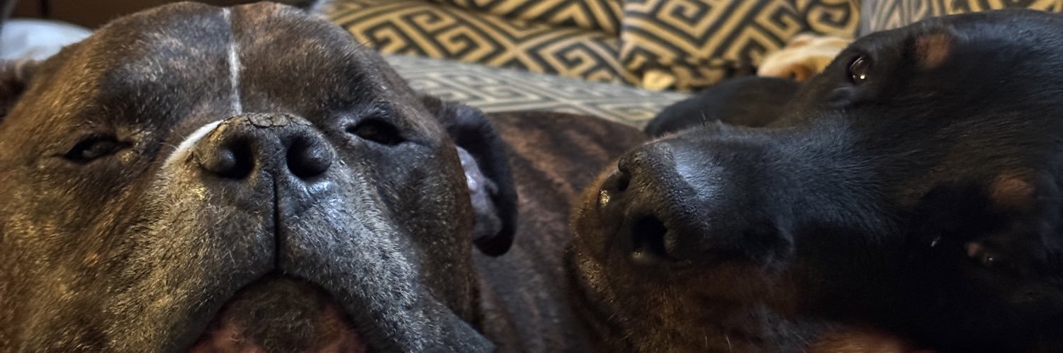 goob73's profile banner image