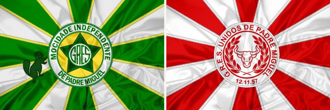 Flávinha✨💚🤍❤️ banner