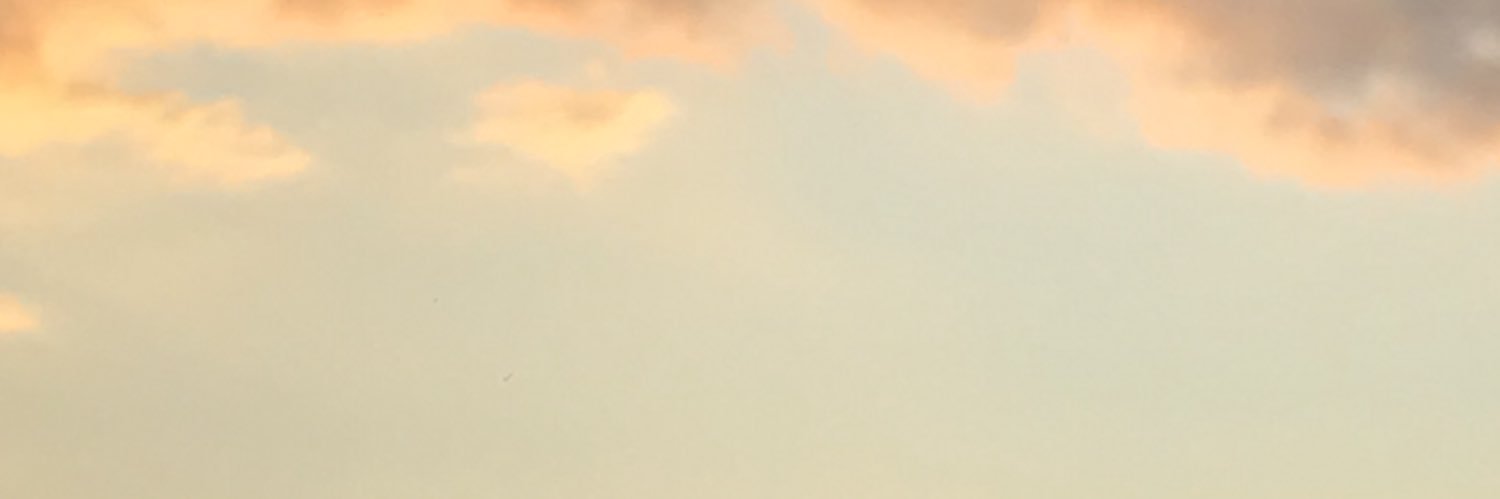 Yon.'s banner
