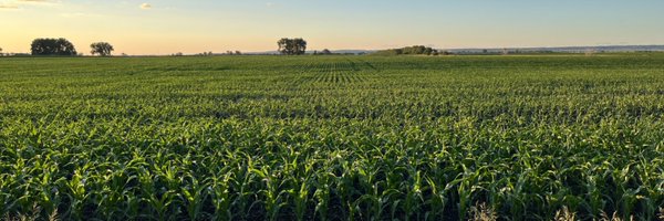 NexlevelSeed Profile Banner