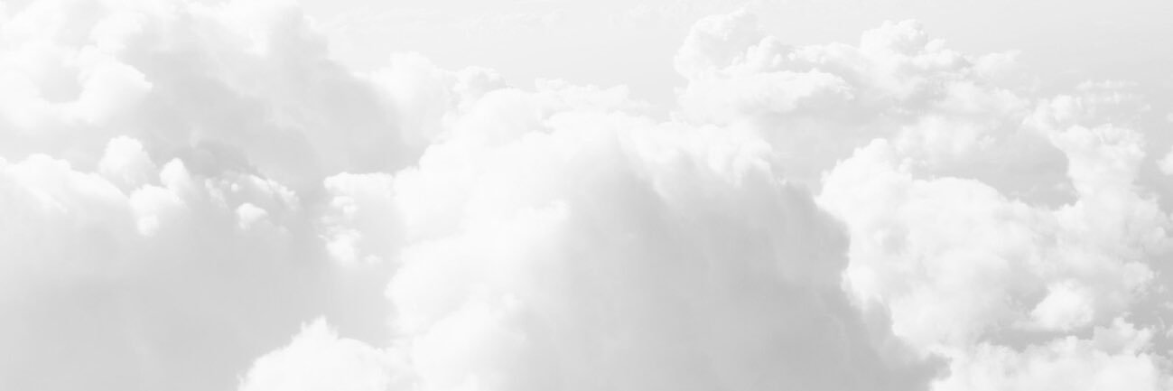 amelia banner