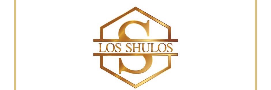 elshulooo's profile banner image