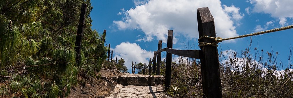 Ana Yolanda Moreno banner