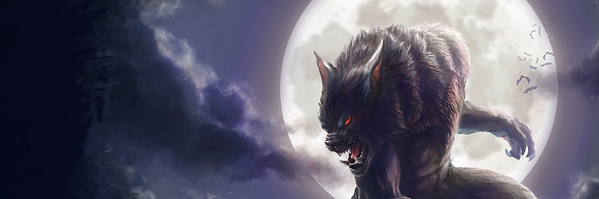 TaySensei's profile banner image