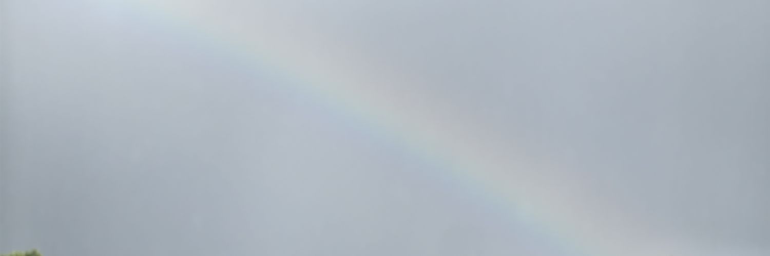 raul_mont's profile banner image