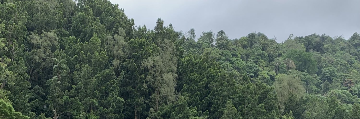 Puspitaintan_'s profile banner image