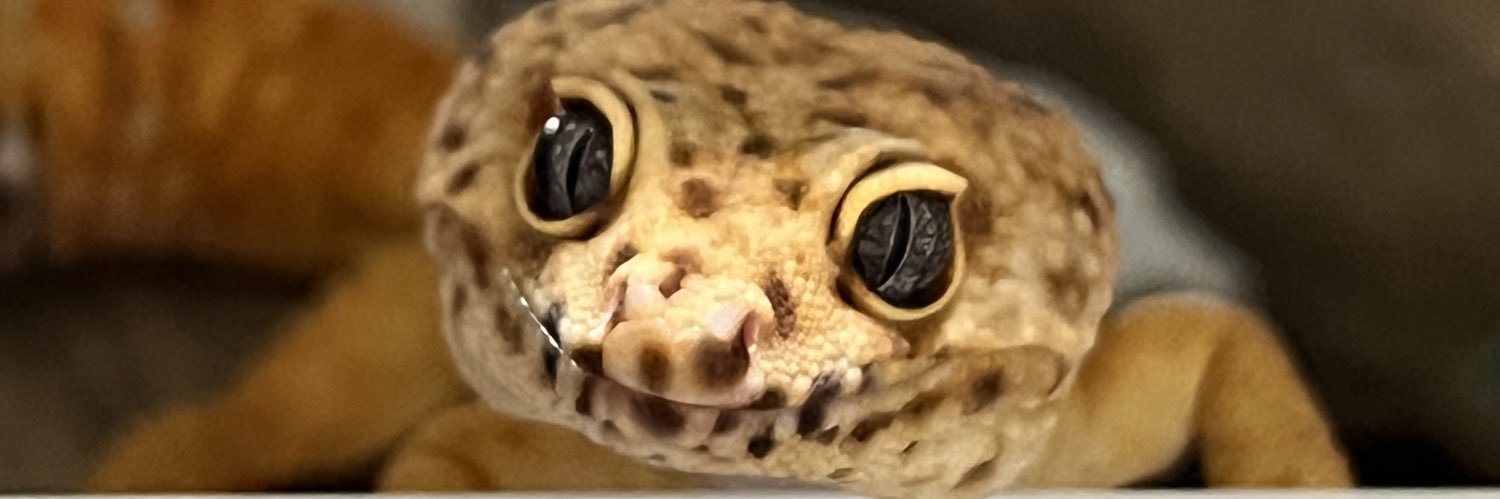 れぷいずむ banner