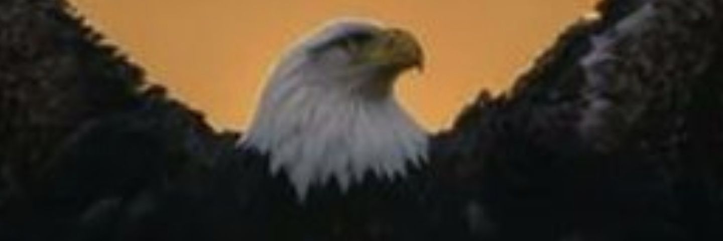 jagvind00620131's profile banner image