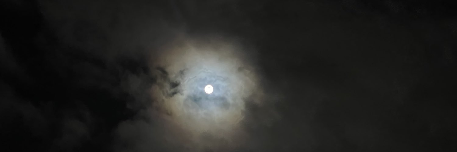 morffyne's profile banner image