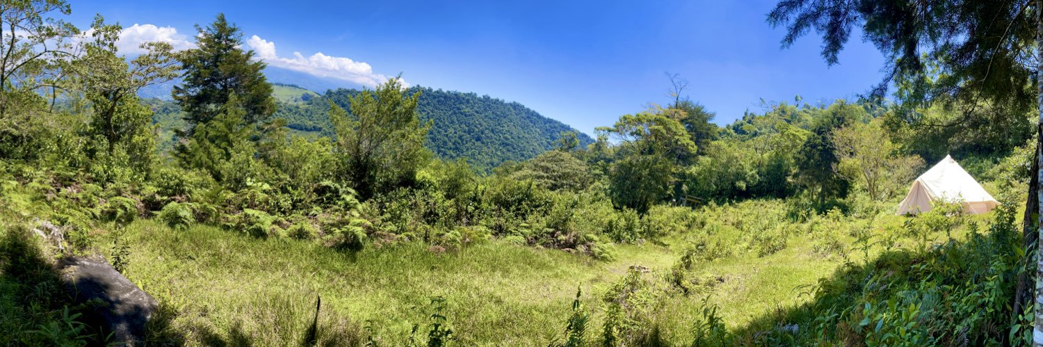 LunarPunk Order 🌙 banner