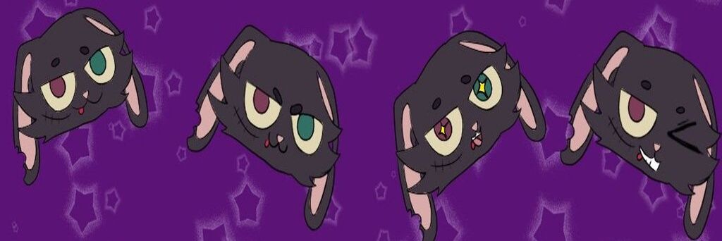 wanderstarrae's profile banner image