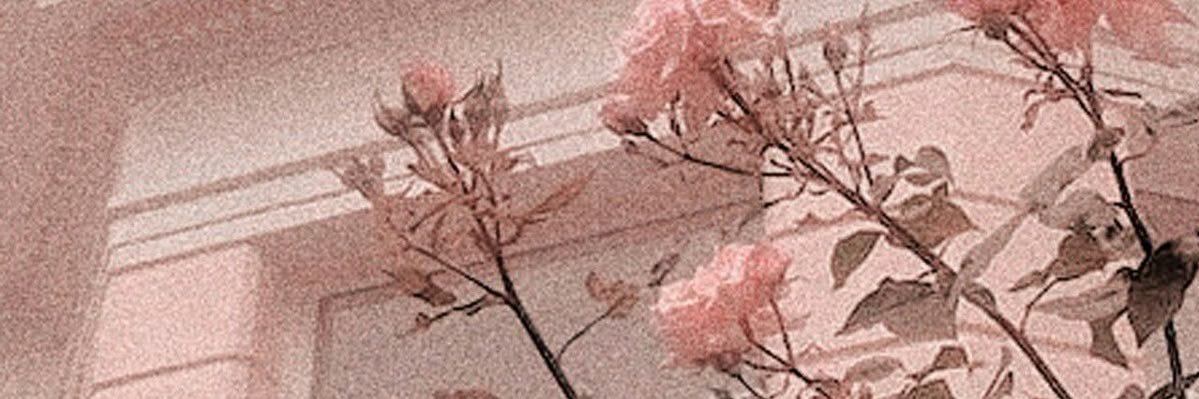 WillowAndThings's profile banner image