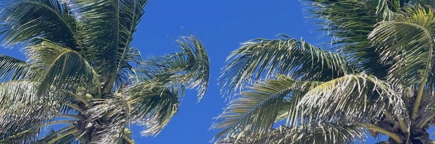 _NI1V's profile banner image