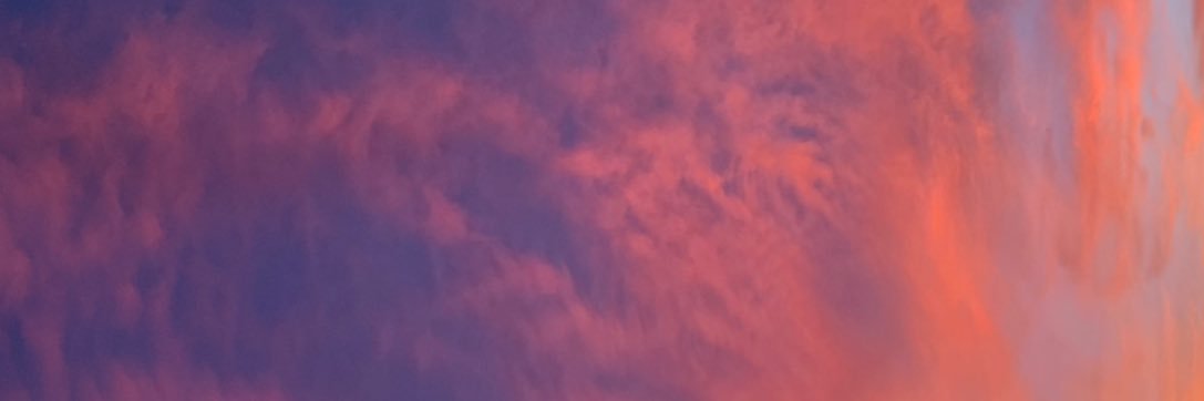 Christine Cassis banner