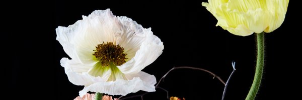 tatread Profile Banner