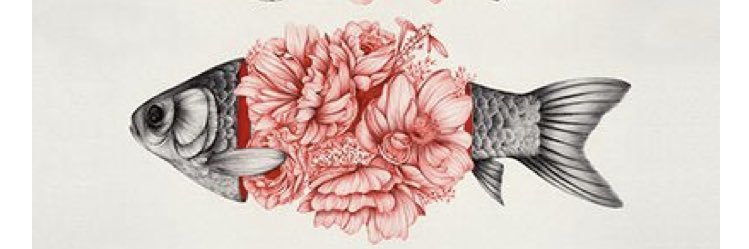 carlerossignol's profile banner image