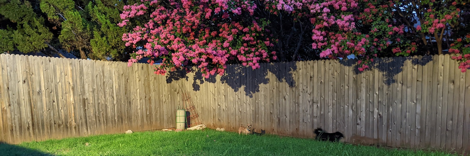 Lisa Rowe 🏳️‍🌈💖💜💙 banner