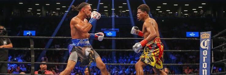 ボクシングファンのリッキー banner