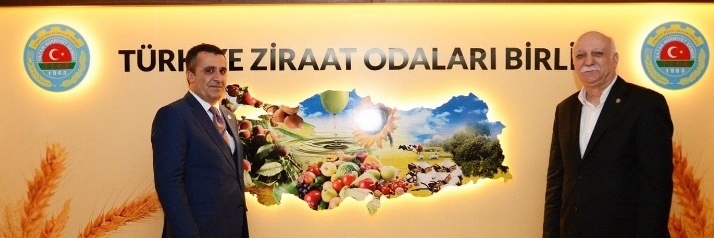 MZOB12's profile banner image