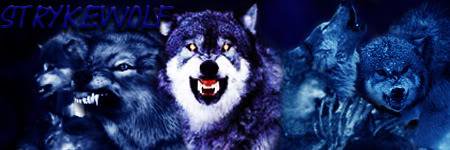 gamewolf67's profile banner image
