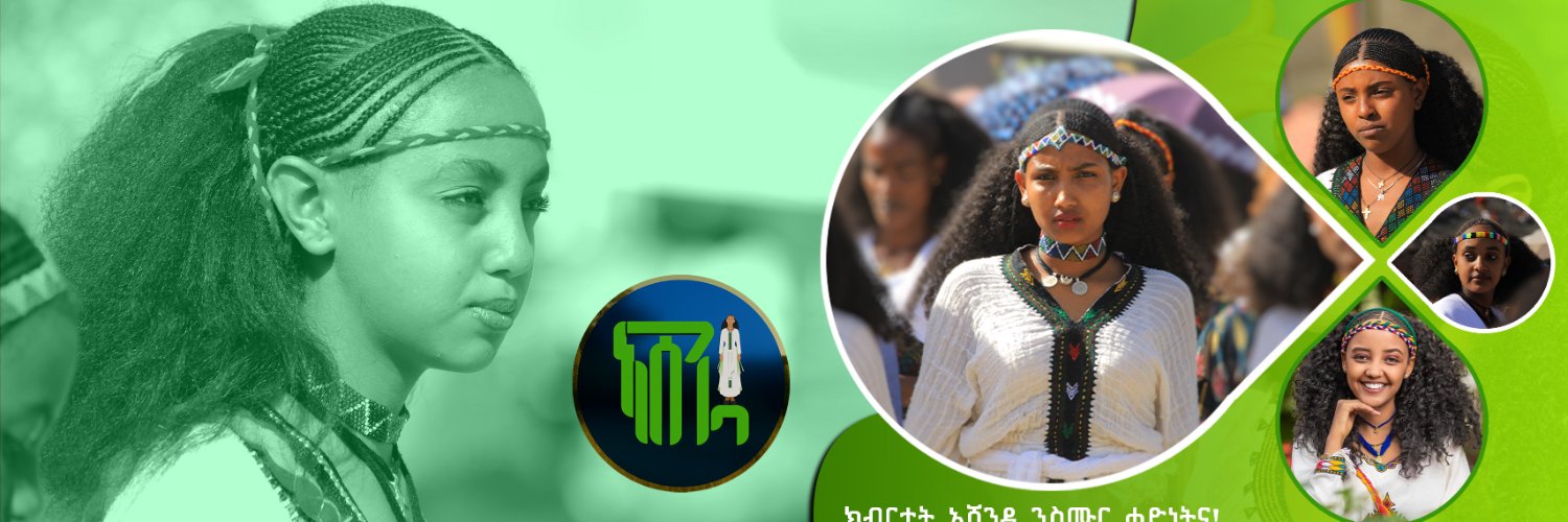 Tigrai Television's banner