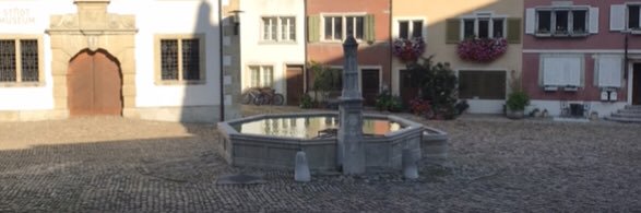 Agi Meier W. 🦉 banner