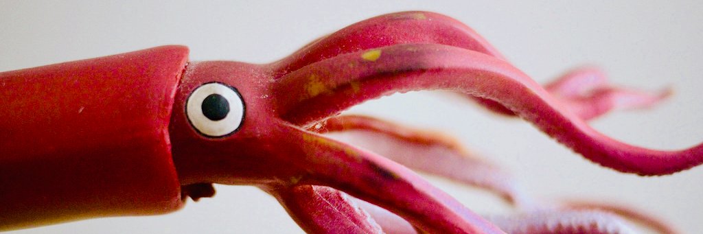 Laughing Squid Hosting banner