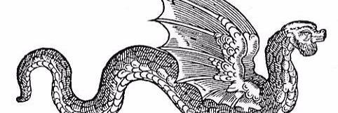 VRRRock's profile banner image