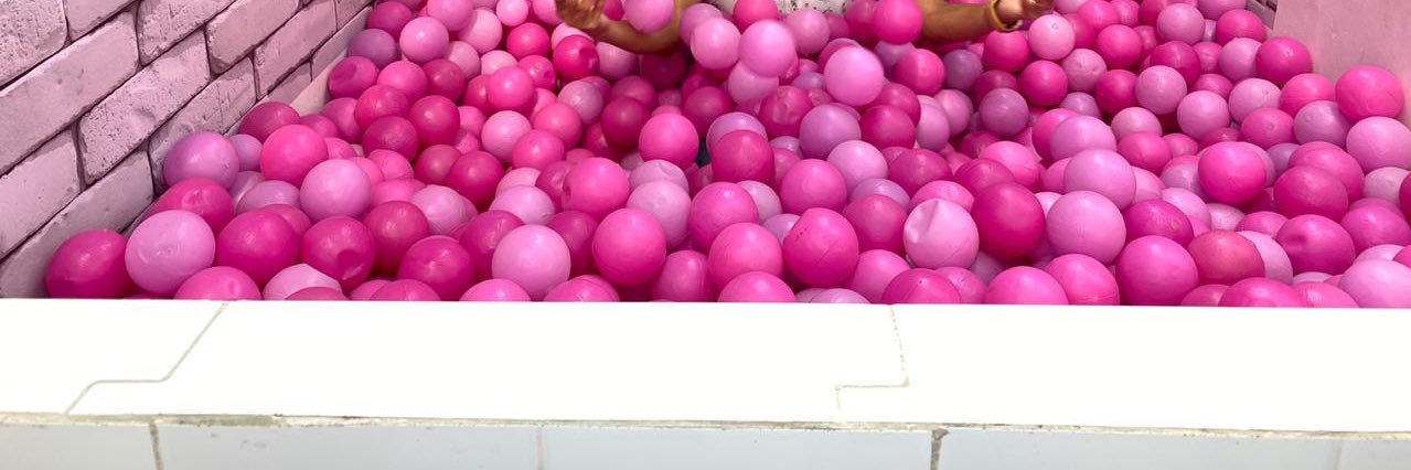 Dnice I. Meza banner