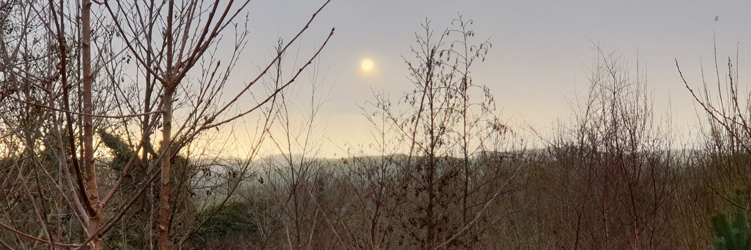 illomen_'s profile banner image