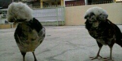 irvanramli's profile banner image