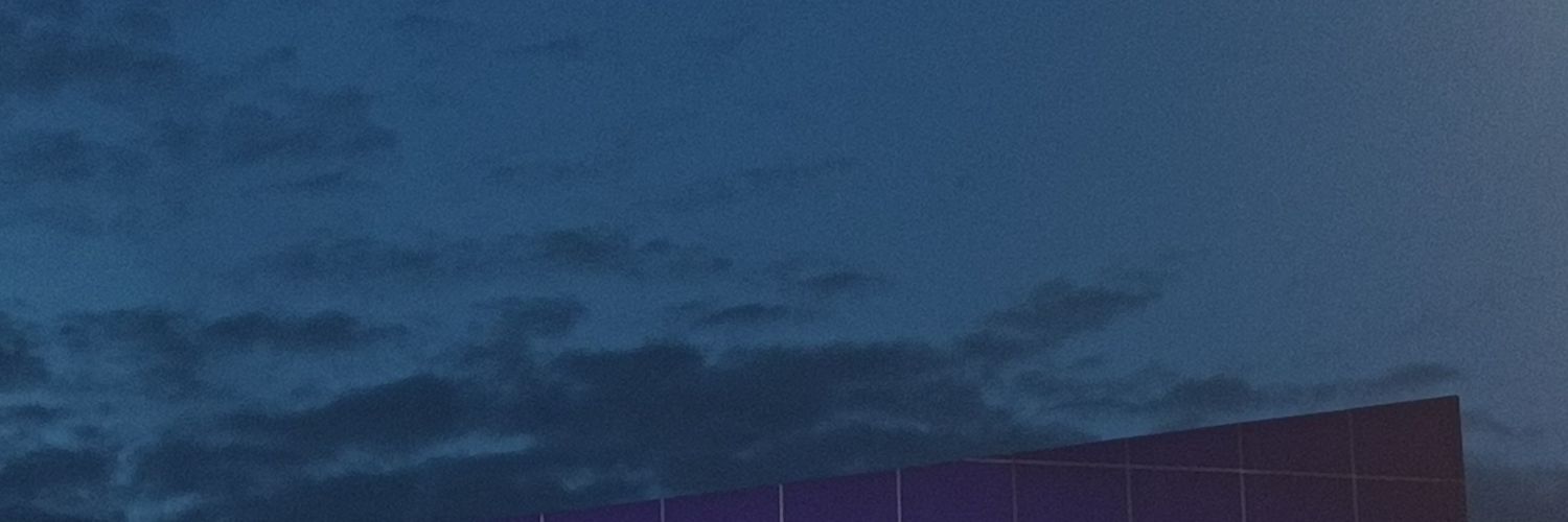 aurinvi's profile banner image