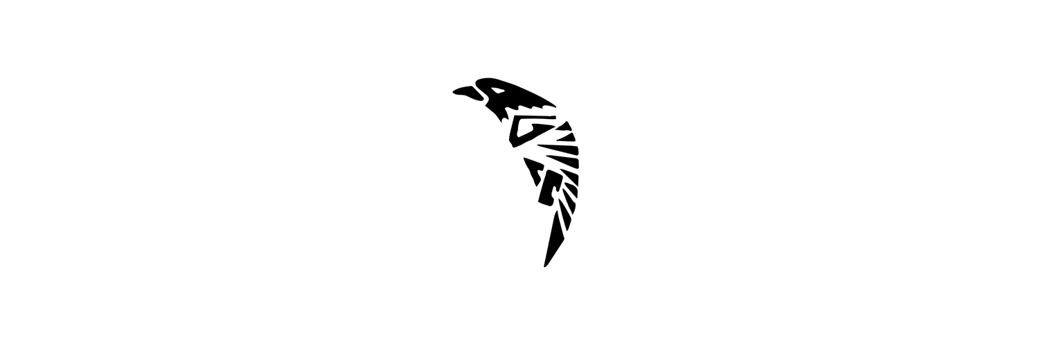 dharmarascal's profile banner image