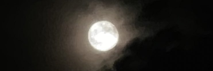 karipo's profile banner image