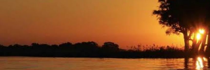 AnuradhaMathu14's profile banner image