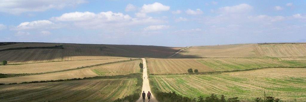 Angelo Vitale banner