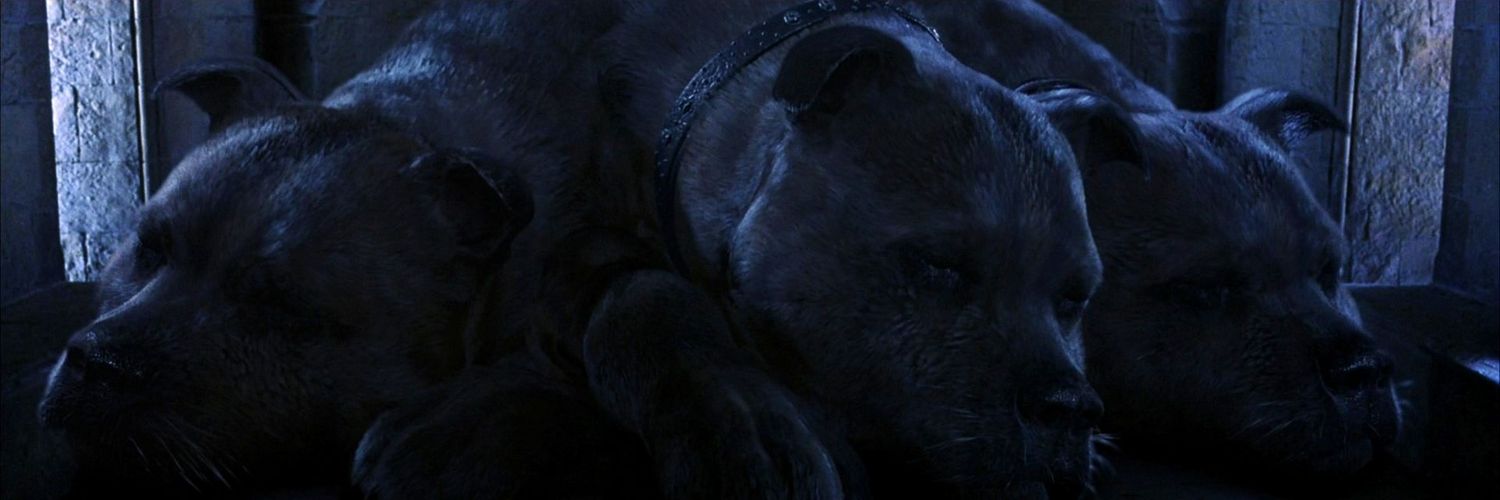 onayker's profile banner image