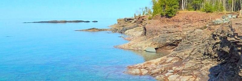 CryptoTimmay(🏂,🏄‍♂️) banner