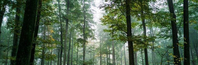 Kamran Shezad banner