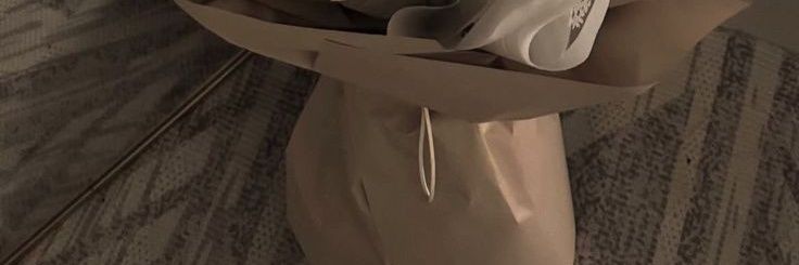 bibay 🐇 banner
