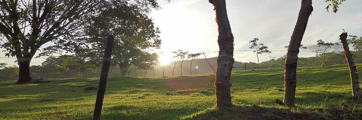 estejimmo's profile banner image