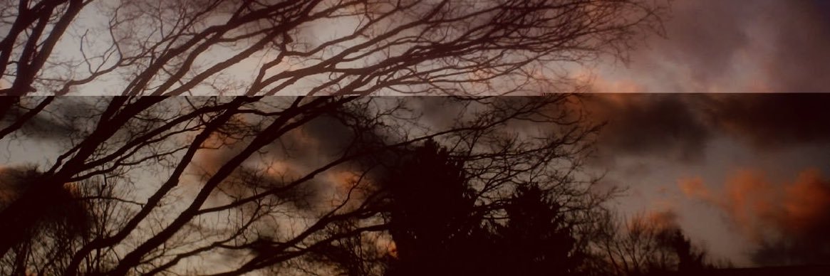 vermographia's profile banner image