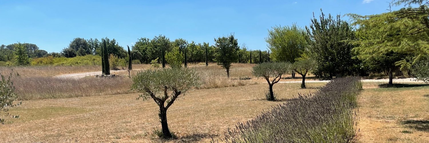 Isabelle Wilson banner