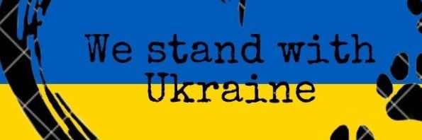 Millie The Border Terrier banner