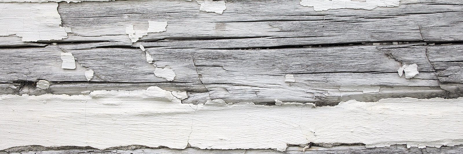 David Zentgraf banner