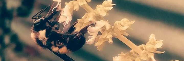 jaff_martin's profile banner image